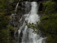 F, Lozere, Pont-de-Montvert-Sud-Mont-Lozere, Cascade de Runes 6, Saxifraga-Marijke Verhagen