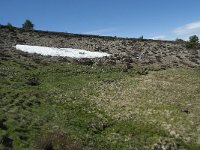 F, Lozere, Pont-de-Montvert-Sud-Mont-Lozere, Col de Finiels 22, Saxifraga-Willem van Kruijsbergen