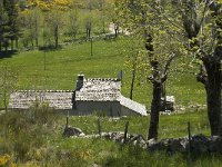 F, Lozere, Pont-de-Montvert-Sud-Mont-Lozere, Felgerolles 2, Saxifraga-Marijke Verhagen