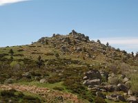 F, Lozere, Pont-de-Montvert-Sud-Mont-Lozere, Finiels 34, Saxifraga-Annemiek Bouwman