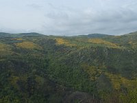 F, Lozere, Pont-de-Montvert-Sud-Mont-Lozere, Fraissinet-de-Lozere 1, Saxifraga-Willem van Kruijsbergen