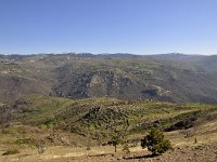 F, Lozere, Pont-de-Montvert-Sud-Mont-Lozere, Mont Lozere 48, Saxifraga-Elisabeth Raboin