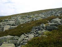 F, Lozere, Pont-de-Montvert-Sud-Mont-Lozere, Pic de Finiels 31, Saxifraga-Dirk Hilbers