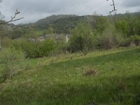 F, Lozere, Pont-de-Montvert-Sud-Mont-Lozere, Runes 3, Saxifraga-Willem van Kruijsbergen