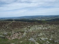 F, Lozere, Pont-de-Montvert-Sud-Mont-Lozere, Sommet de Finiels 39, Saxifraga-Willem van Kruijsbergen