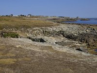 F, Morbihan, Guidel, Guidel Plage 2, Saxifraga-Theo Verstrael