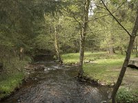 F, Nievre, Dun-les-Places, Bois de Chaumont 13, Saxifraga-Willem van Kruijsbergen