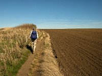 F, Pas-de-Calais, Audresselles 6, Saxifraga-Jan van der Straaten