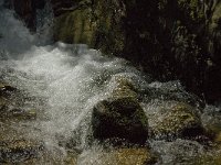 F, Pyrenees Orientales, Vernet-les-Bains, Gorges de Saint Vincent 1, Saxifraga-Jan van der Straaten