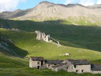 F, Savoie, Val-Cenis, Parc national de la Vanoise near Bellecombe 6, Saxifraga-Tom Heijnen