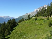 F, Savoie, Val-Cenis, Parc national de la Vanoise near Bellecombe 7, Saxifraga-Tom Heijnen