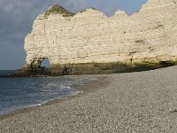 F, Seine-Maritime, Etretat 27, Saxifraga-Willem van Kruijsbergen