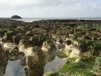 F, Seine-Maritime, Etretat 29, Saxifraga-Willem van Kruijsbergen