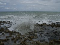 F, Seine-Maritime, Etretat 3, Saxifraga-Willem van Kruijsbergen