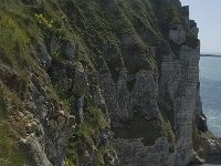 F, Seine-Maritime, Etretat, Cap d Antifer 6, Saxifraga-Willem van Kruijsbergen