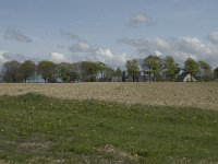 F, Seine-Maritime, Etretat, Le Tilleul 3, Saxifraga-Willem van Kruijsbergen