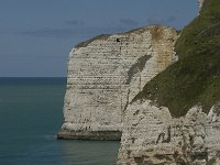 F, Seine-Maritime, Etretat, Pointe de la Courtine 20, Saxifraga-Willem van Kruijsbergen