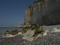 F, Seine-Maritime, Sassetot-le-Mauconduit, Les Grandes Dalles 18, Saxifraga-Willem van Kruijsbergen