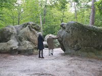 F, Seine-et-Marne, Barbizon, Foret de Fontainebleau 7, Saxifraga-Jan C van der Straaten