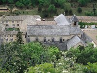 F, Vaucluse, Saint-Saturnin-les-Apt, Abbaye Notre-Dame de Senanque 1, Saxifraga-Jan van der Straaten