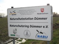 D, Mecklenburg-Vorpommern, Duemmer, Duemmer See 1, Saxifraga-Henk Sierdsema