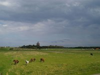 D, Niedersachsen, Cuxhafen, Neuwerk 2, Foto Fitis-Sytske Dijksen