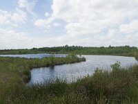 D, Niedersachsen, Diepholz 19, Saxifraga-Jan Nijendijk