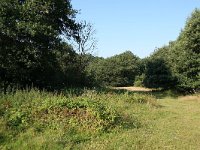 D, Niedersachsen, Meppen, Borckener Paradies 4, Saxifraga-Mark Zekhuis