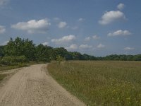 D, Niedersachsen, Schneverdingen, Wolfsberg 18, Saxifraga-Jan van der Straaten