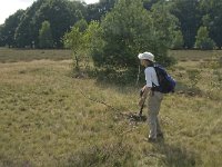 D, Niedersachsen, Schneverdingen, Wolfsberg 19, Saxifraga-Jan van der Straaten