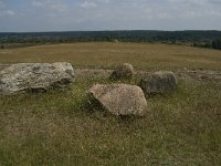 D, Niedersachsen, Schneverdingen, Wulfsberg 3, Saxifraga-Jan van der Straaten