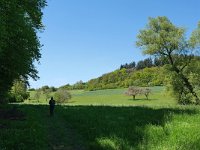 Rheinland-Pfalz