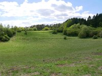 D, Rheinland-Pfalz, Gerolstein, Gerolsteiner Dolomiten 7, Saxifraga-Tom Heijnen