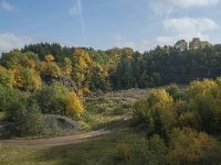 D, Rheinland-Pfalz, Gerolstein, Rockskyll 17, Saxifraga-Willem van Kruijsbergen