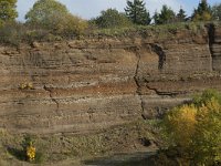 D, Rheinland-Pfalz, Gerolstein, Rockskyll 24, Saxifraga-Willem van Kruijsbergen