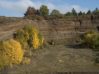 D, Rheinland-Pfalz, Gerolstein, Rockskyll 25, Saxifraga-Willem van Kruijsbergen