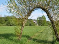 D, Rheinland-Pfalz, Grosslittgen, Kloster Himmerod 3, Saxifraga-Tom Heijnen