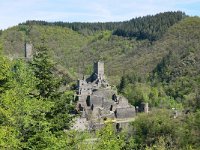 D, Rheinland-Pfalz, Manderscheid, Niederburg & Oberburg 2, Saxifraga-Tom Heijnen