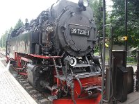 D, Sachsen-Anhalt, Wernigerode, Brocken 11, Saxifraga-Luuk Vermeer