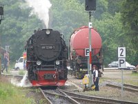 D, Sachsen-Anhalt, Wernigerode, Brocken 13, Saxifraga-Luuk Vermeer