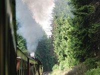 D, Sachsen-Anhalt, Wernigerode, Brocken 2, Saxifraga-Luuk Vermeer