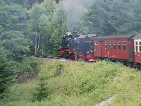 D, Sachsen-Anhalt, Wernigerode, Brocken 3, Saxifraga-Luuk Vermeer