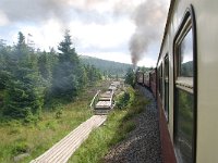 D, Sachsen-Anhalt, Wernigerode, Brocken 4, Saxifraga-Luuk Vermeer