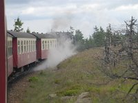 D, Sachsen-Anhalt, Wernigerode, Brocken 7, Saxifraga-Luuk Vermeer