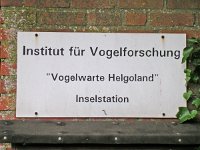 D, Schleswig Hollstein, Helgoland 6, Saxifraga-Henk Sierdsema