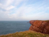 D, Schleswig-Holstein, Helgoland 13, Saxifraga-Bart Vastenhouw