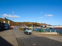 D, Schleswig-Holstein, Helgoland 23, Saxifraga-Bart Vastenhouw