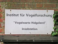 D, Schleswig-Holstein, Helgoland 6, Saxifraga-Henk Sierdsema