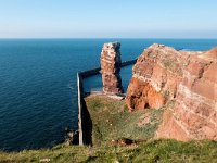 D, Schleswig-Holstein, Helgoland, Lange Anna 1, Saxifrage-Bart Vastenhouw