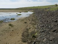 D, Schleswig-Holstein, Nordstrand, Westen 3, Saxifraga-Jan van der Straaten